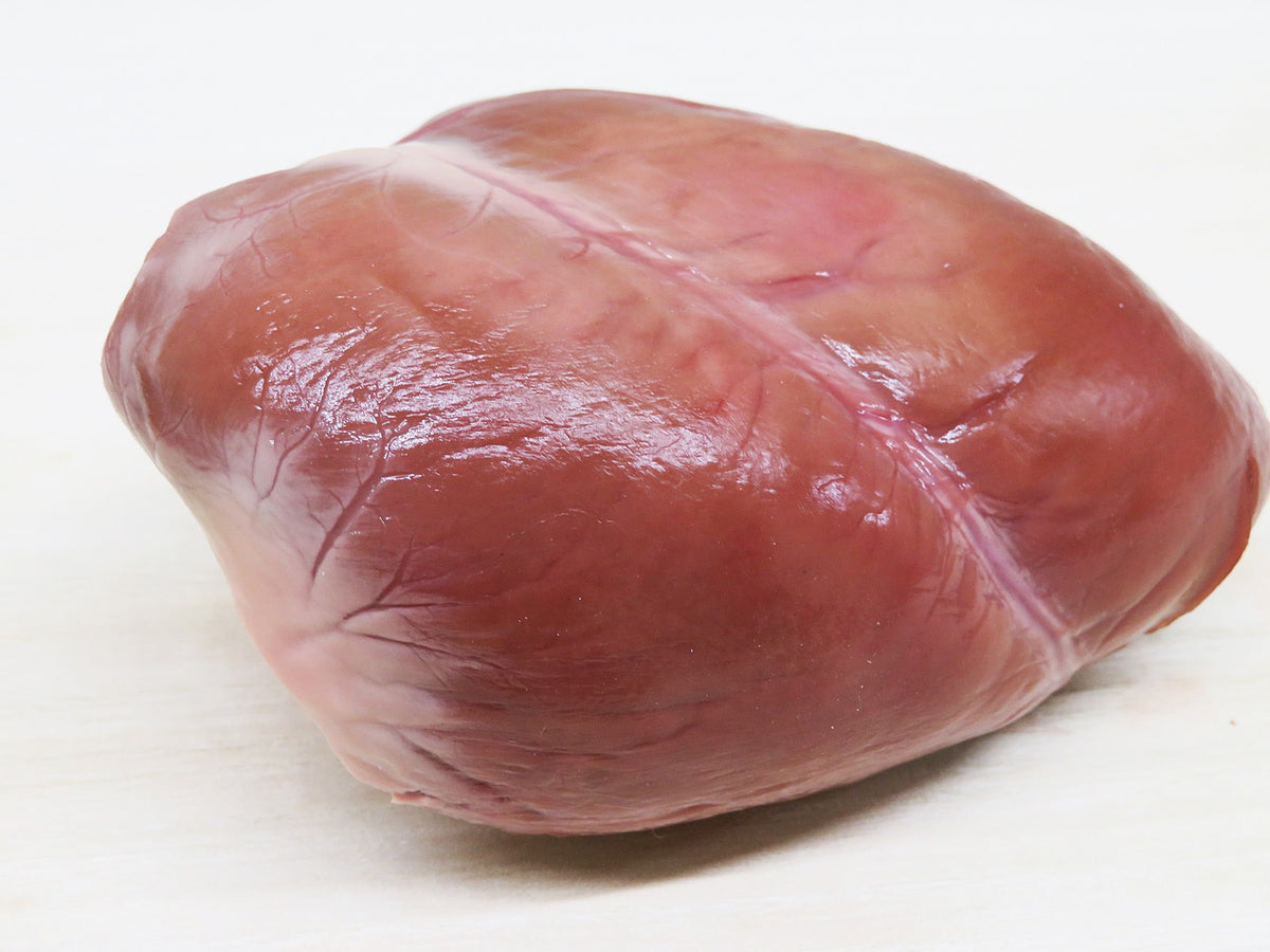 鹿肉 ハツ（心臓） サイズ大（351～450g） – 伊那谷ジビエ